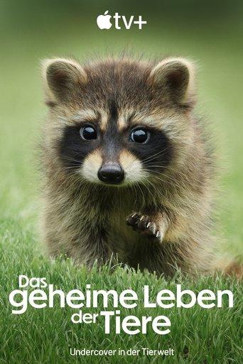 Das geheime Leben der Tiere