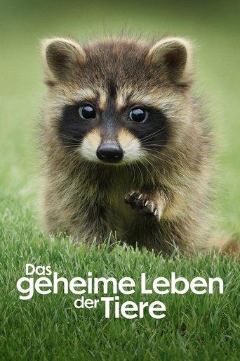Das geheime Leben der Tiere