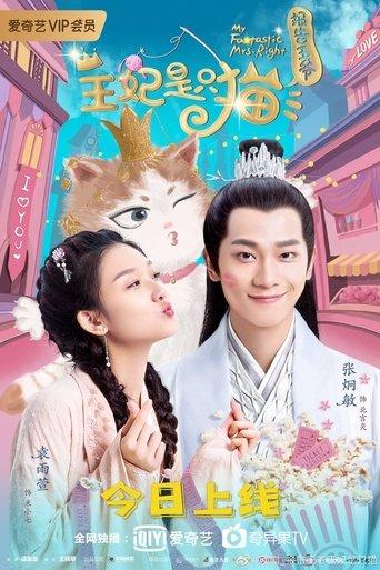 报告王爷，王妃是只猫