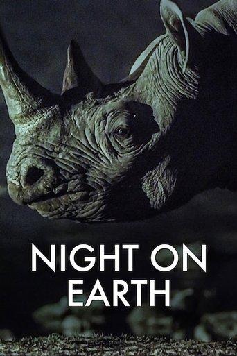 Die Erde bei Nacht