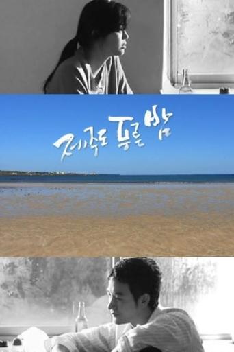 드라마 시티: 제주도 푸른밤