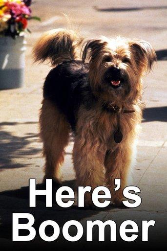 Boomer, der Streuner