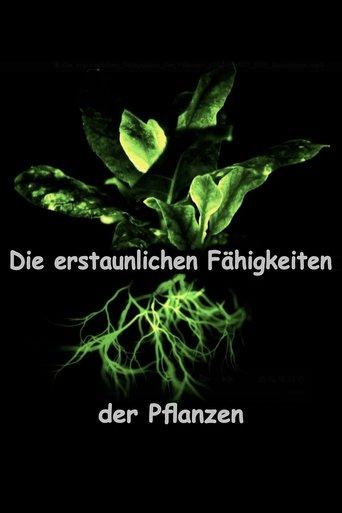 Die erstaunlichen Fähigkeiten der Pflanzen