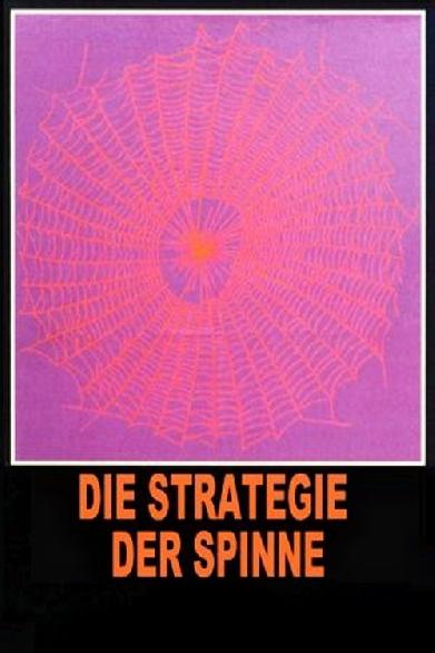 Die Strategie der Spinne