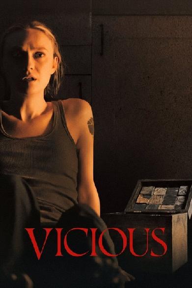 Vicious - Ein teuflisches Geschenk