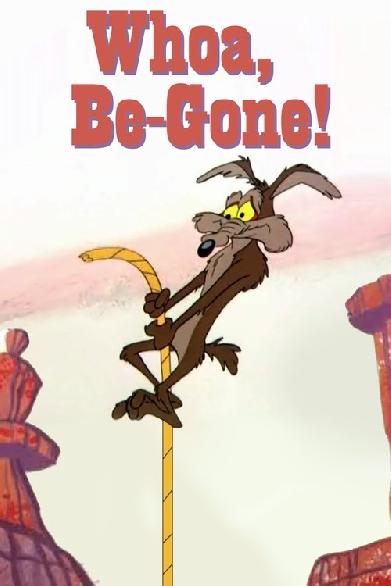 Plattgemacht und durchgeschleudert