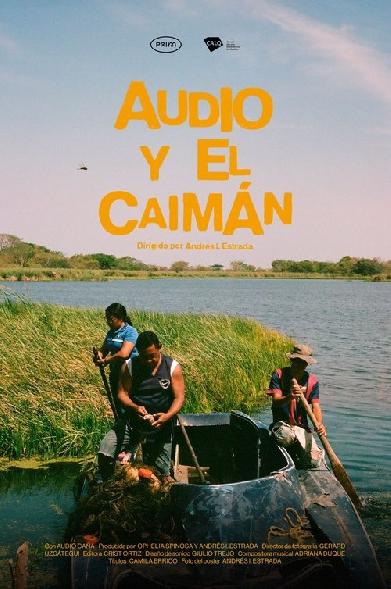 Audio y el Caimán