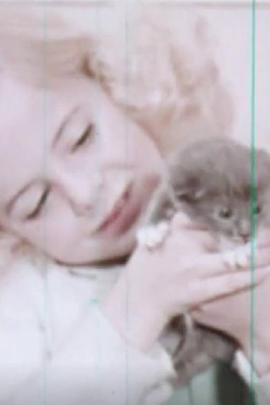 Kittens: Birth and Growth