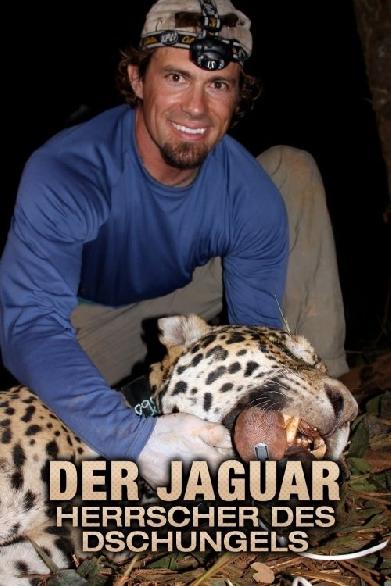 Der Jaguar – Herrscher des Dschungels