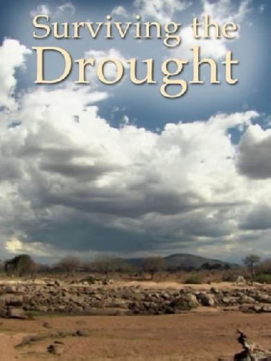 Im Reich der starken Löwinnen