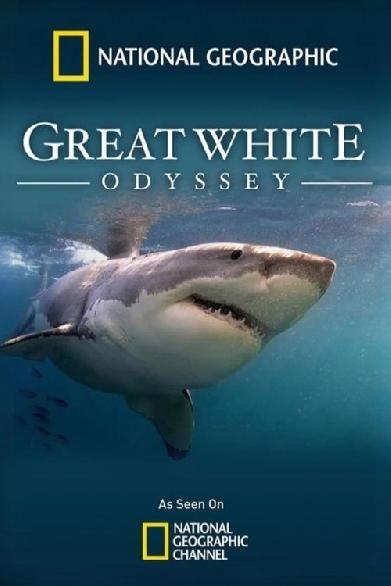 Great White Odyssey