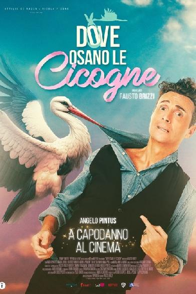 Dove osano le cicogne