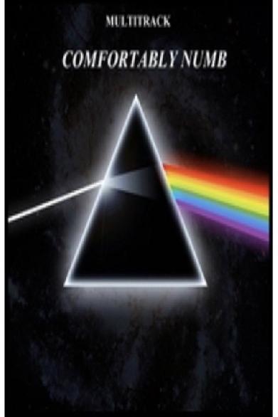 Pink Floyd - Comfortably Numb