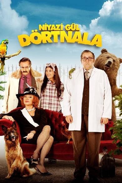 Niyazi Gül Dörtnala