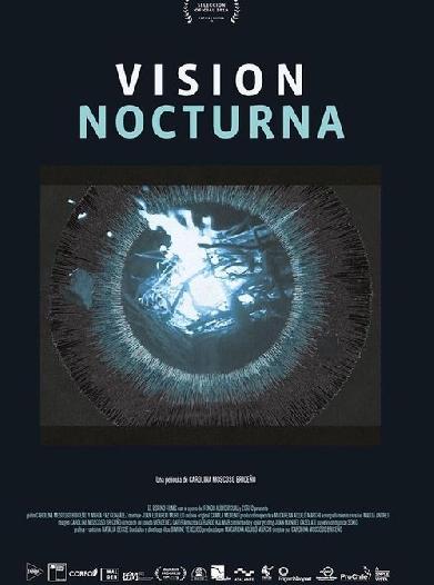 Vision nocturna