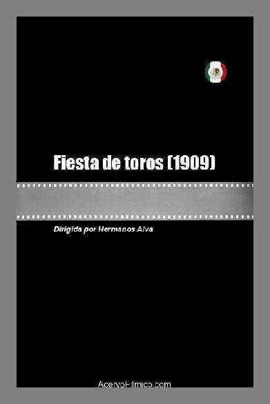 Fiesta de toros