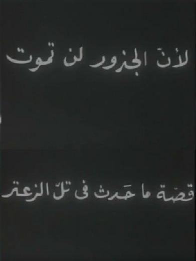 لأن الجذور لا تموت