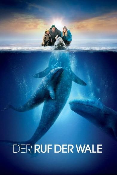 Der Ruf der Wale
