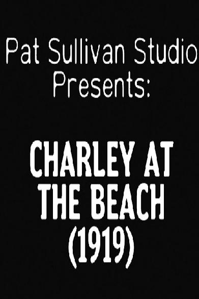 Charley at the Beach