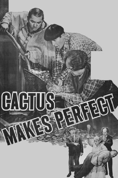 Cactus Makes Perfect