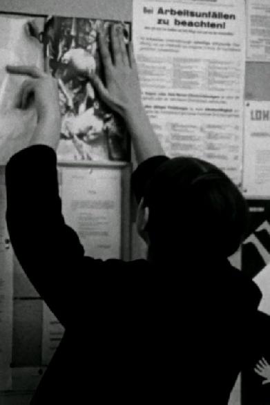 Western für den SDS