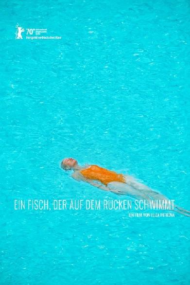 Ein Fisch, der auf dem Rücken schwimmt
