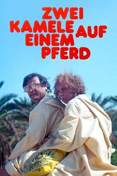 Zwei Kamele auf einem Pferd