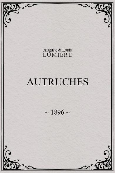 Autruches
