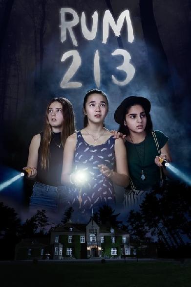 Rum 213