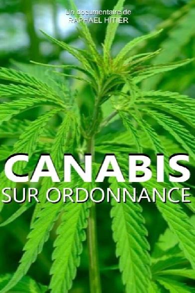 Cannabis auf Rezept