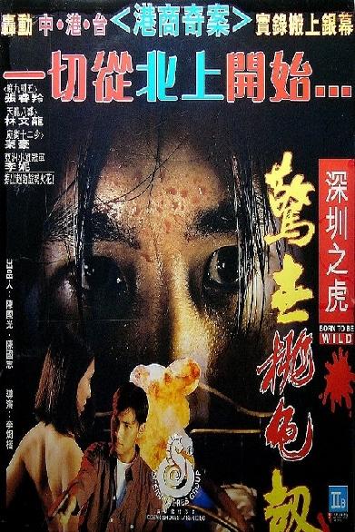 深圳之虎：驚世桃色劫