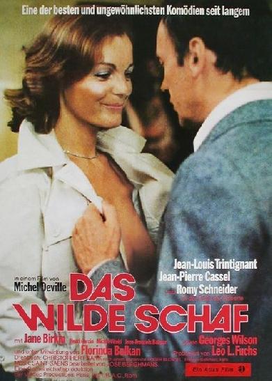 Das wilde Schaf