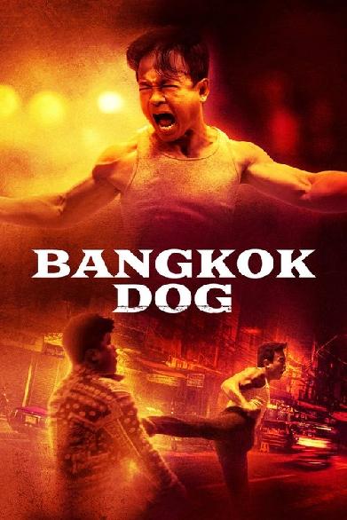 Bangkok Dog