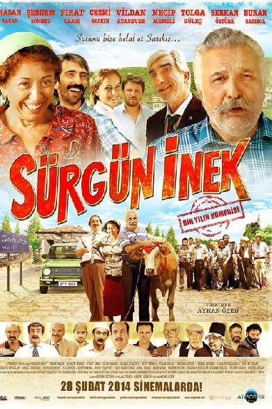 Sürgün İnek