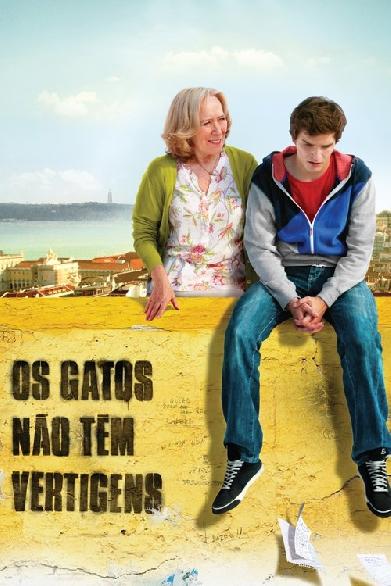 Os Gatos Não Têm Vertigens