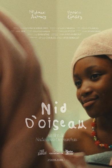 Nid d'oiseau