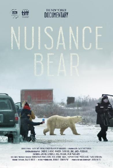 Nuisance Bear