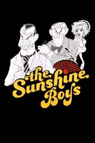 Die Sunny Boys