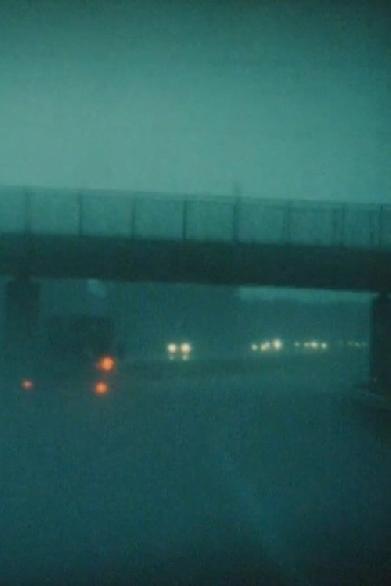 Petrichor