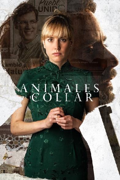 Animales sin collar