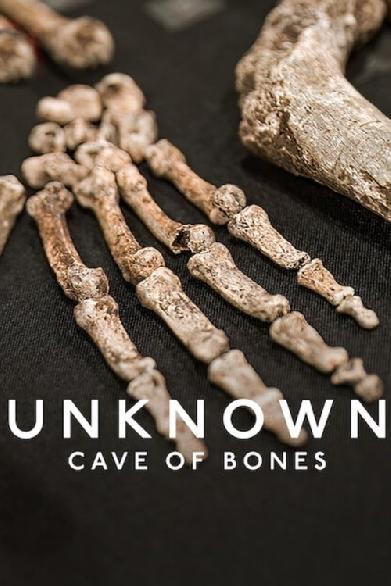 Unbekannt: Die Knochenhöhle
