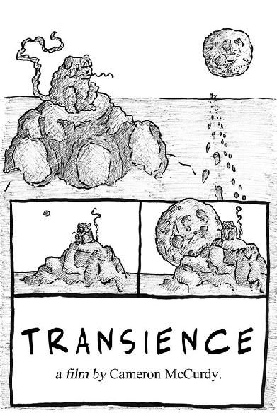 Transience