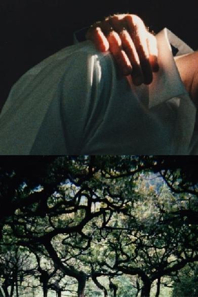 The Hedge Theater