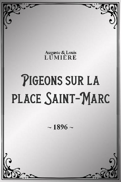 Pigeons sur la place Saint-Marc