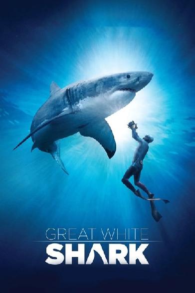 Great White Shark