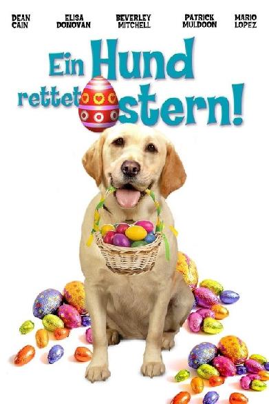 Ein Hund rettet Ostern
