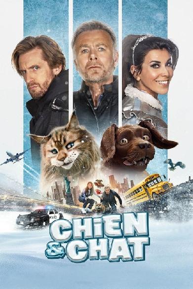 Chien et Chat