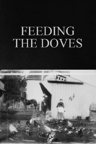 Feeding the Doves