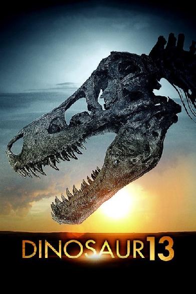 Sue, Dinosaurier Nr. 13