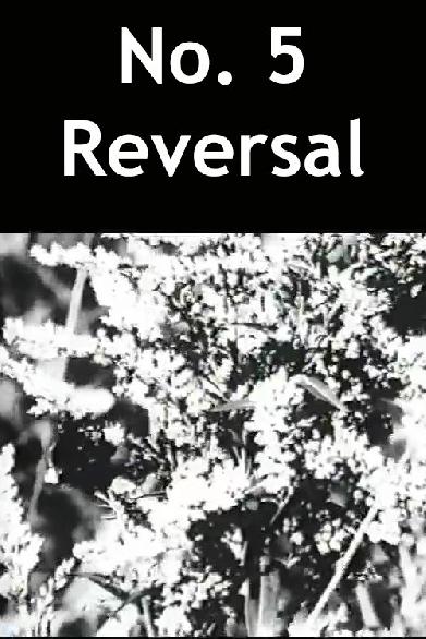 No. 5 Reversal